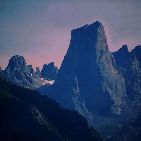 Bufones De Pria Rurales